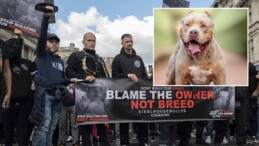 Londra’da Sahibi Olduğu Köpeklerin Saldırısına Uğrayan Kadın Hayatını Kaybetti
