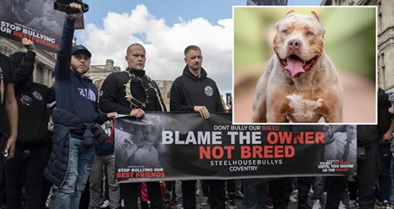 Londra’da Sahibi Olduğu Köpeklerin Saldırısına Uğrayan Kadın Hayatını Kaybetti