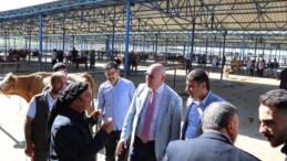 Mahmut Tanal’I KESK Bile Yalanladı