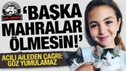 Mahra Pınar’ın ailesinden başıboş köpek düzenlemesine destek: Başka Mahralar ölmesin