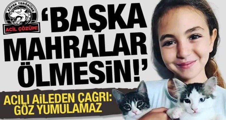Mahra Pınar’ın ailesinden başıboş köpek düzenlemesine destek: Başka Mahralar ölmesin