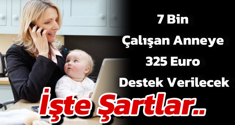 Çalışan Annelere 325 Euro Destek Başvurusu: Detaylar ve Şartlar Açıklandı
