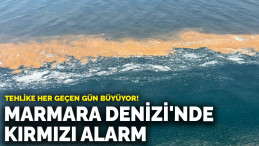 Marmara Denizi’nde Red-Tide Uyarısı: “Denize Girmeyin!”