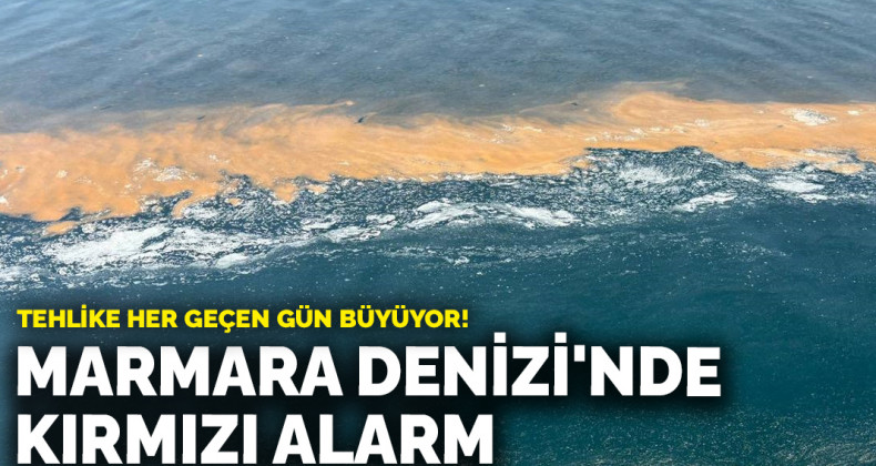 Marmara Denizi’nde Red-Tide Uyarısı: “Denize Girmeyin!”