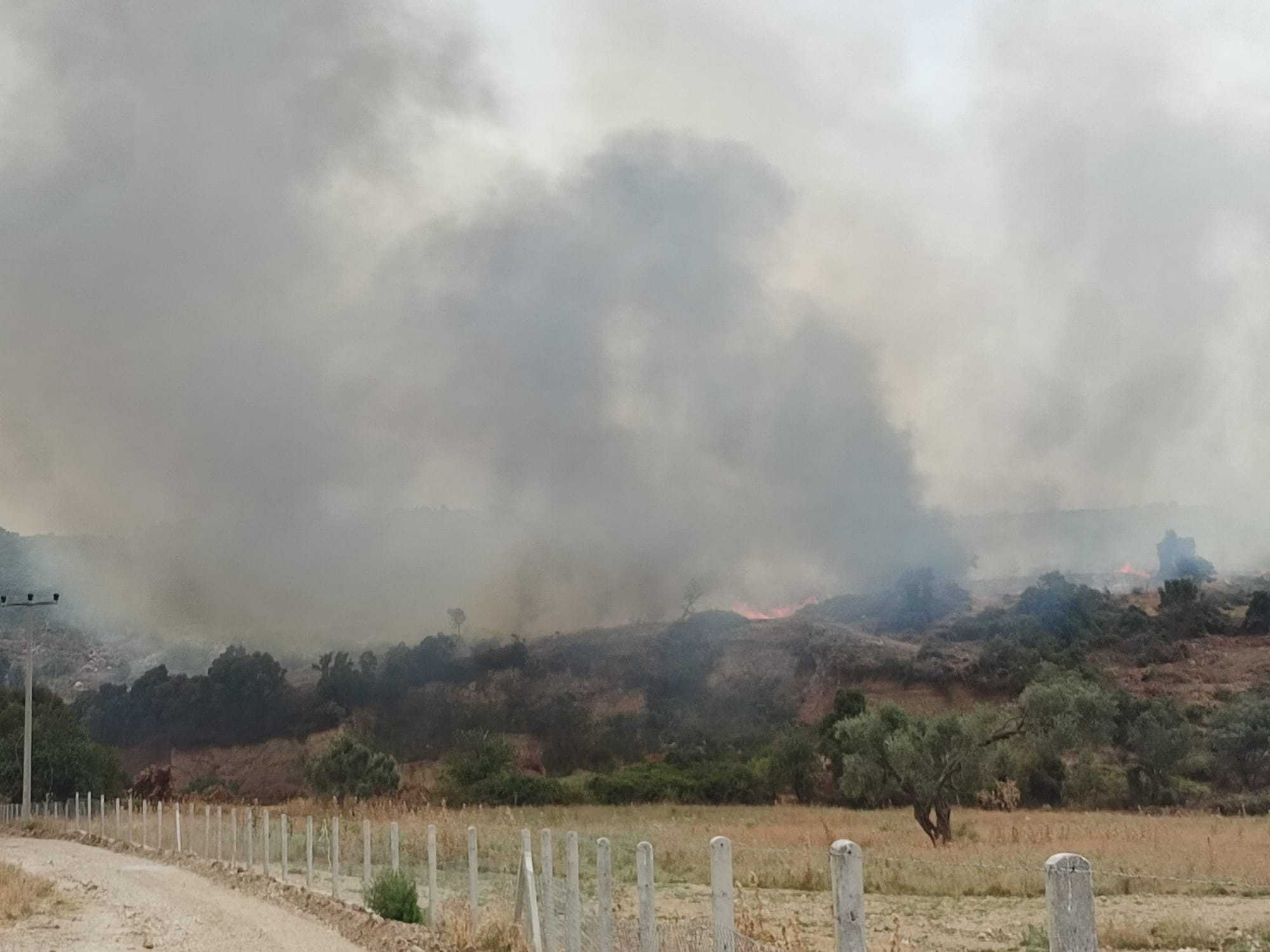 Didim'de Yangın Uçağı Bafa Gölü'ne Çakıldı! 1 GQCDR8AWgAAsiW7