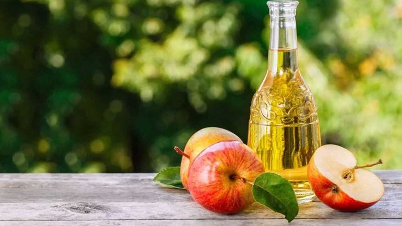 Güneşin Zararlarına Karşı Doğal Koruma Yöntemi 6 Gunesin Zararlarina Karsi Dogal Koruma Yontemi 7