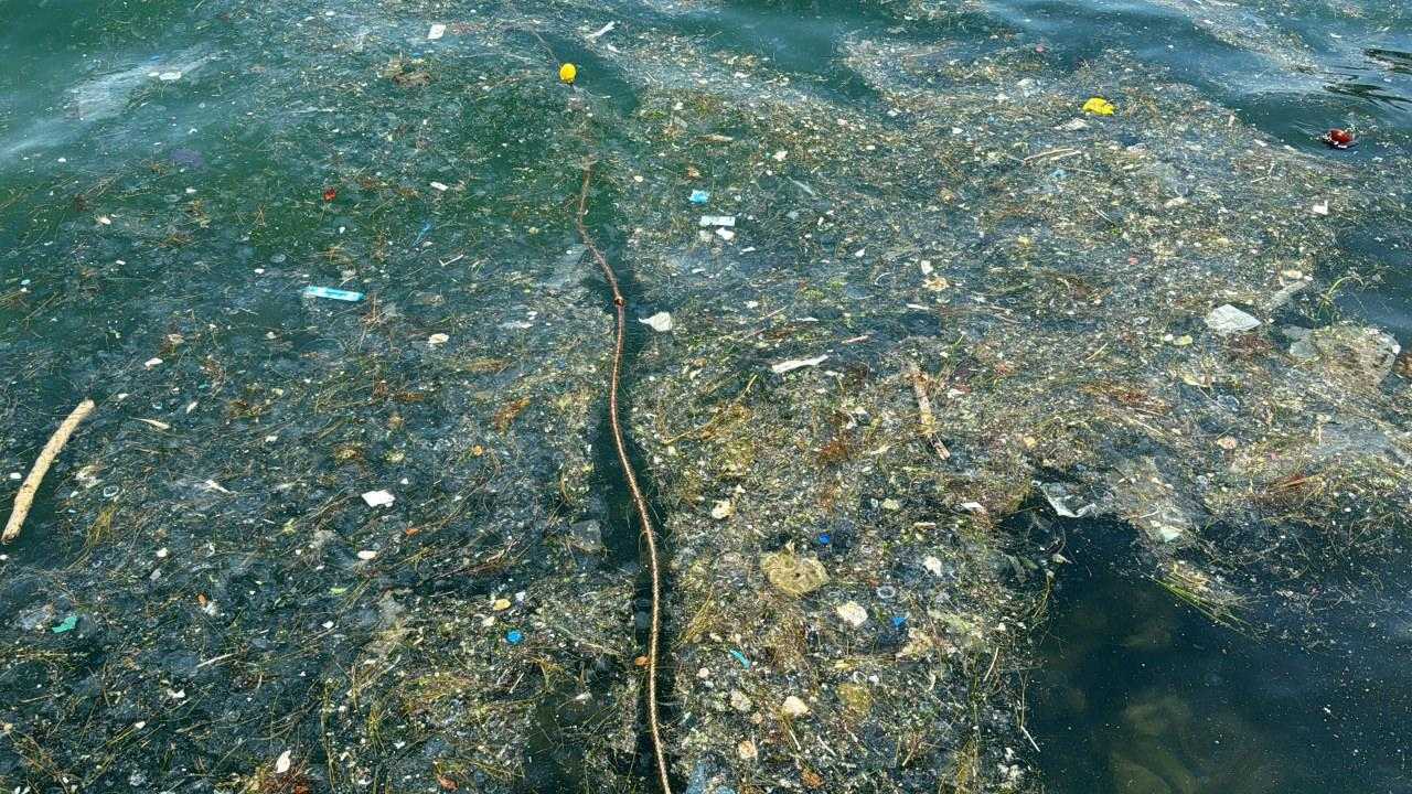 Sarıyer'de Deniz Kenarına Vuran Çöpler Vatandaşı İsyan Ettirdi 1 sariyerde deniz kenarina vuran copler vatandasi isyan ettirdi 1 nMhnQHZ9