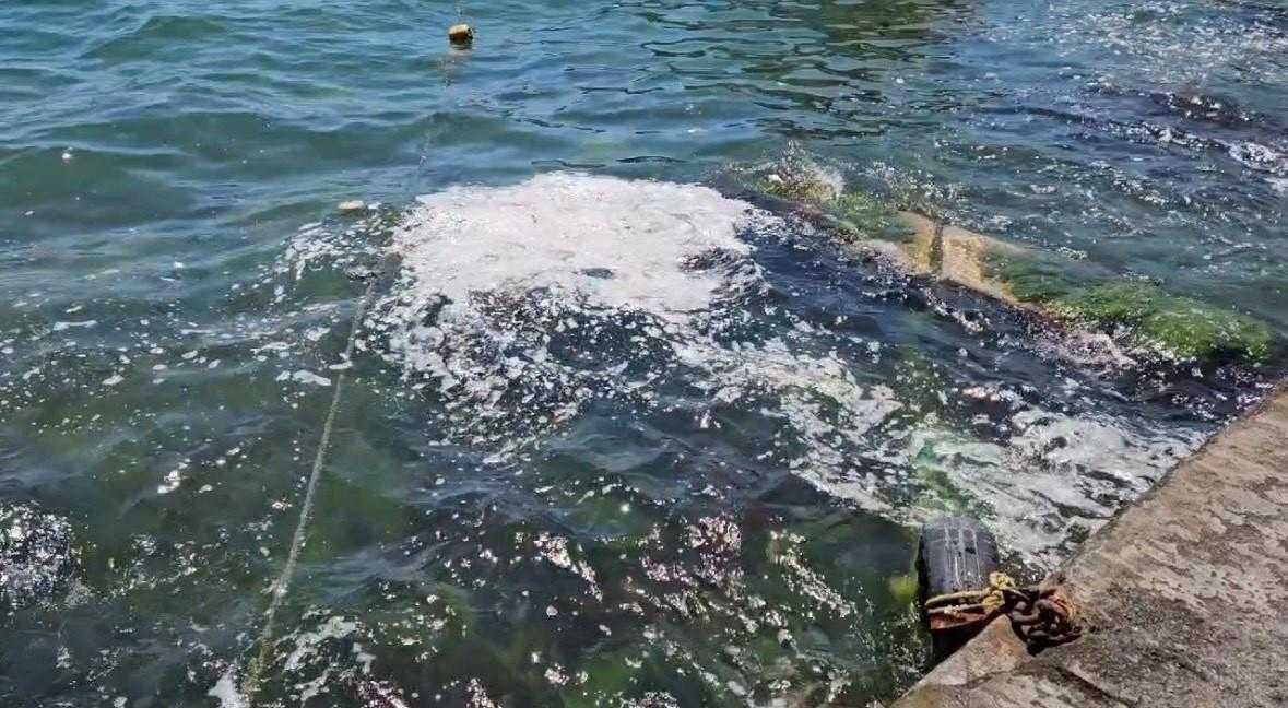 Sarıyer'de Deniz Kenarına Vuran Çöpler Vatandaşı İsyan Ettirdi 3 sariyerde deniz kenarina vuran copler vatandasi isyan ettirdi 3 HaW3Acb1