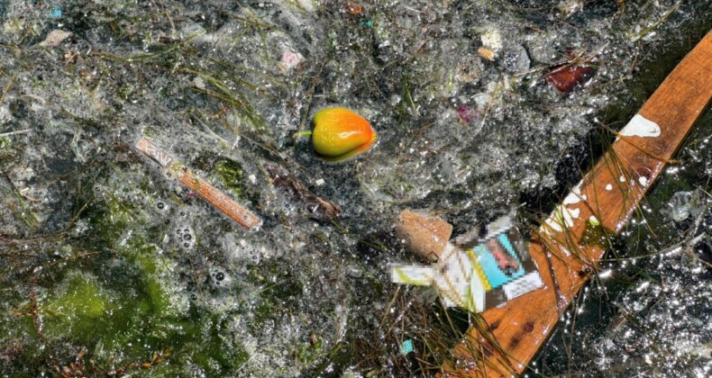 Sarıyer’de Deniz Kenarına Vuran Çöpler Vatandaşı İsyan Ettirdi