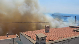 İzmir Dikili’de Orman Yangını