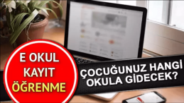 MEB E-Kayıt Sistemi Açıldı: Çocuklarınız Hangi Okula Gidecek?
