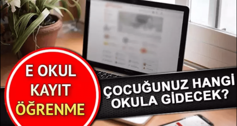 MEB E-Kayıt Sistemi Açıldı: Çocuklarınız Hangi Okula Gidecek?