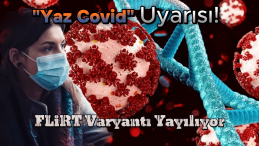 DSÖ’den Şok “Yaz Covid” Uyarısı: FLiRT Varyantı Yayılıyor