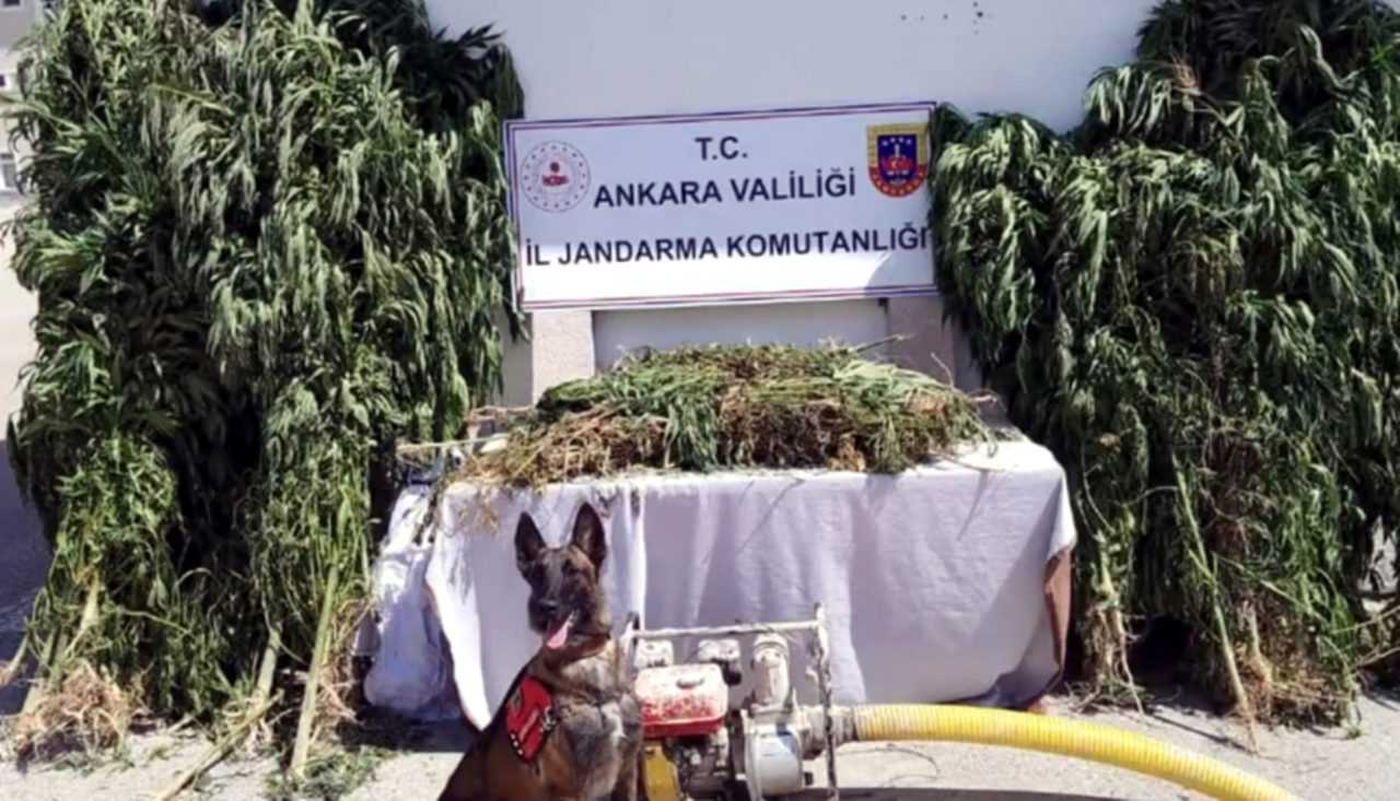 Nefes Kesen Operasyon: 426 Kilogram Uyuşturucu Ele Geçirildi 1 Nefes Kesen Operasyon 426 Kilogram Uyusturucu Ele Gecirildi 2