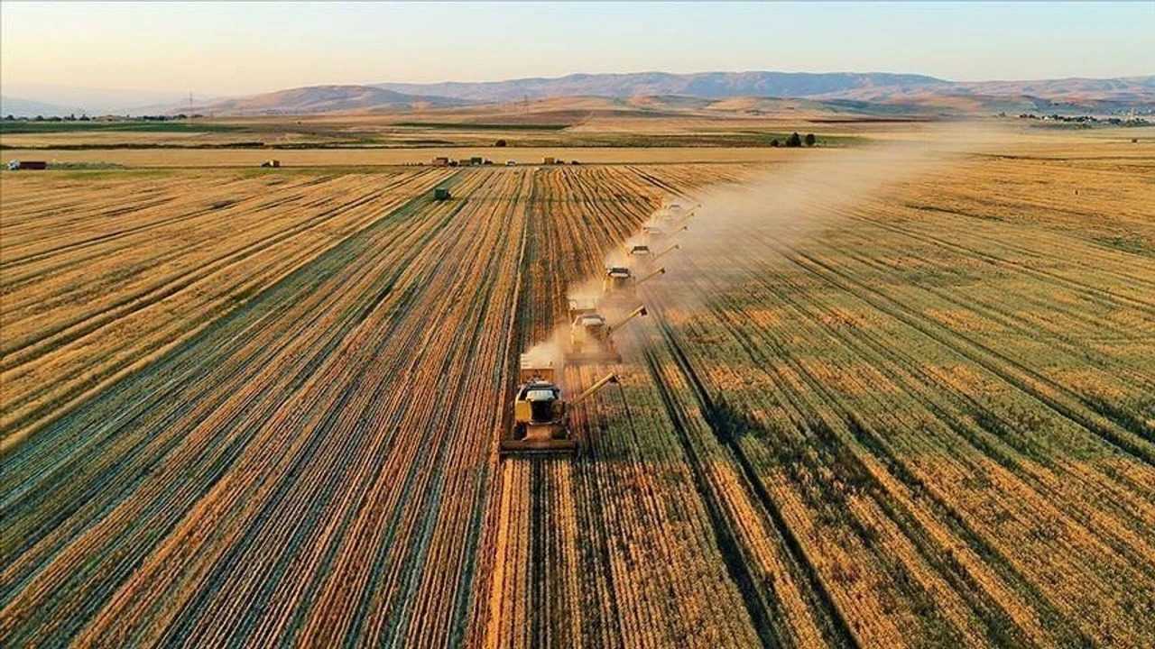 Turkiye Tarim Ihracatinda Rekor Kirdi 3