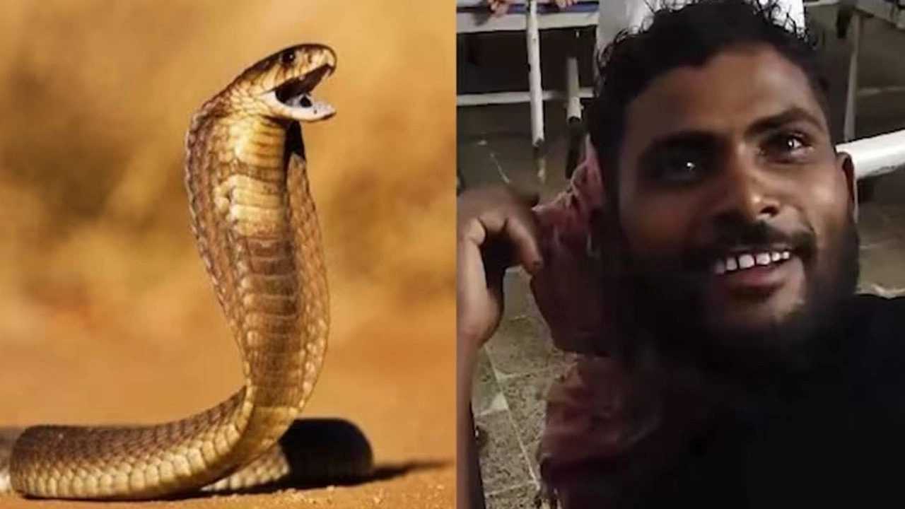 Zehirle Dans Iscinin Sira Disi Yilan Mucadelesi 2
