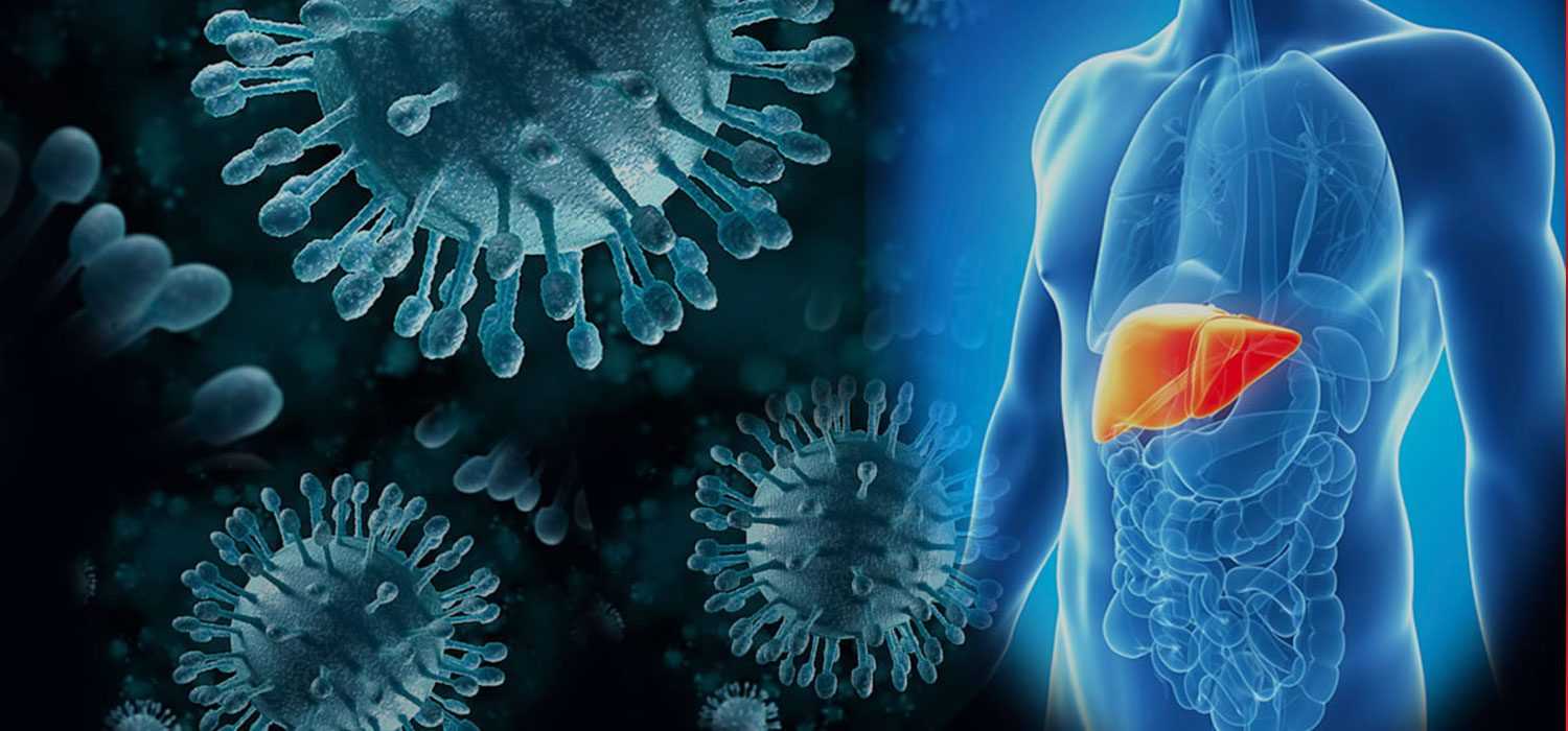 hepatit b 3