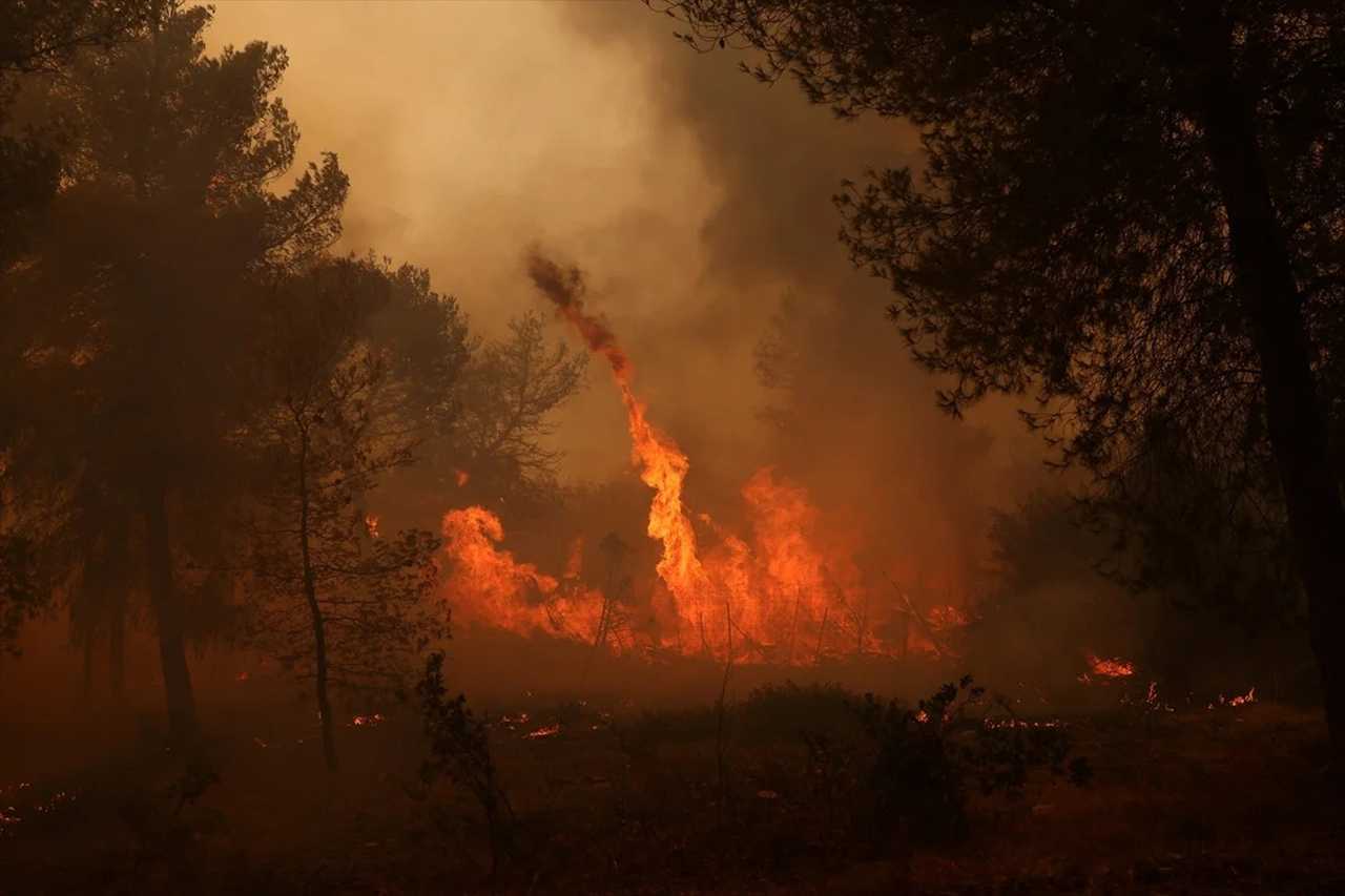 Alevler Atinayi Tehdit Ediyor Yangin Krizi Derinlesiyor 2