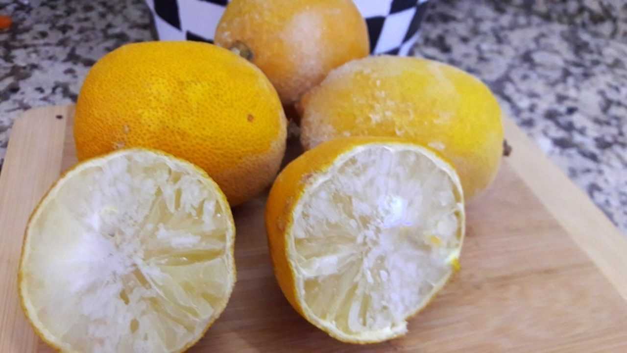 Dondurulmus Limonun Saglik Mucizesi 5