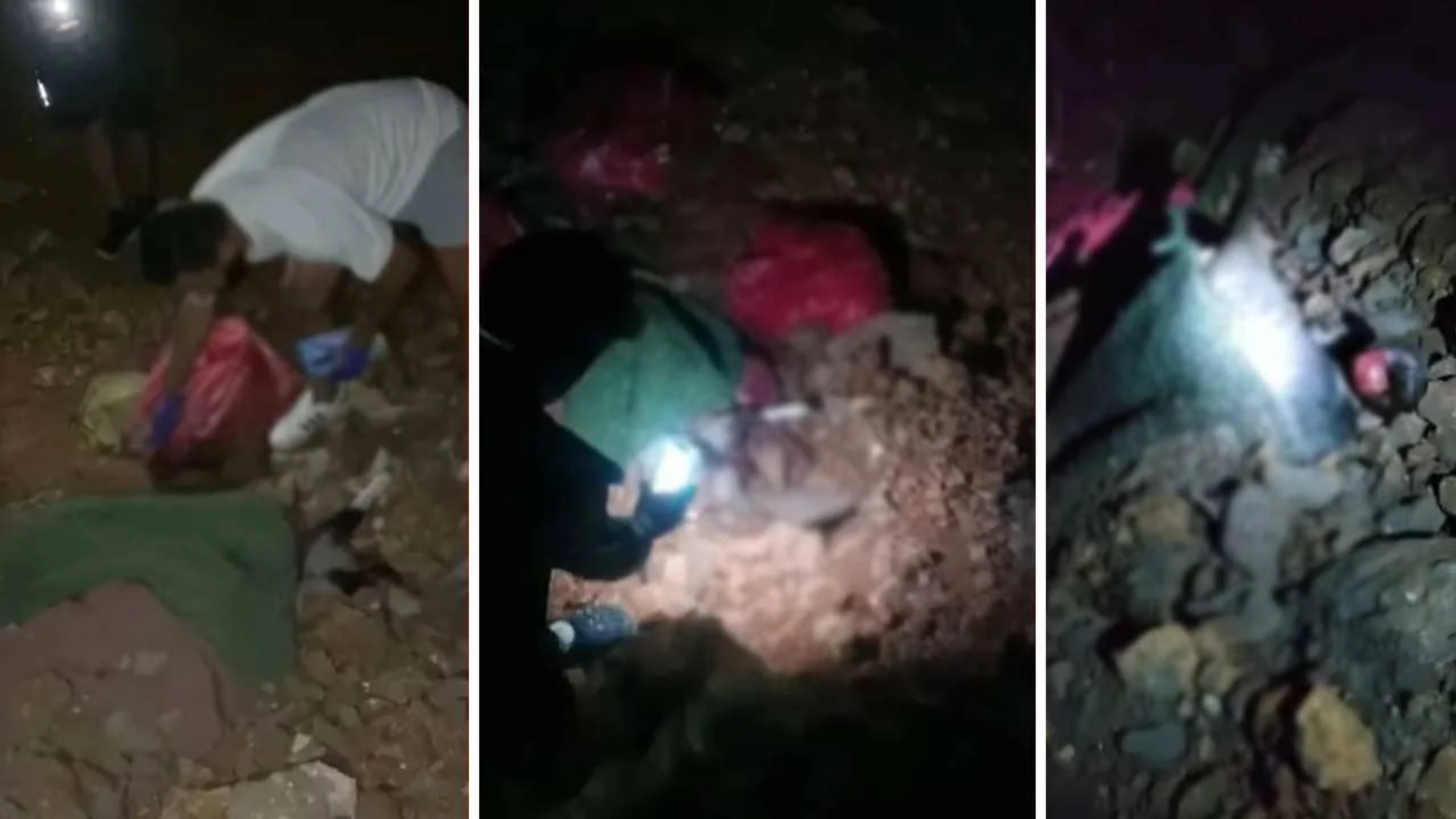 Altındağ'da Gizemli Köpek Ölümleri: Gerçek Ne? 1 Ekran goruntusu 2024 08 09 173314