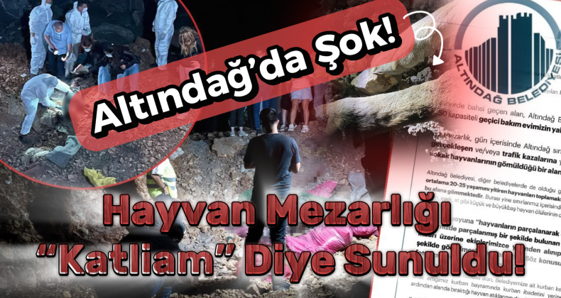 Altındağ’da Gizemli Köpek Ölümleri: Gerçek Ne?