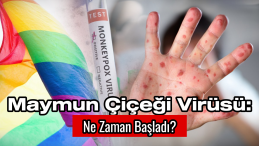 Maymun Çiçeği Virüsü Cinsel Yolla Yayılmaya Ne Zaman Başladı?