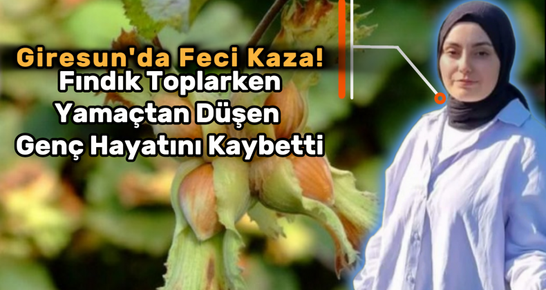 Giresun’da Fındık Toplarken Feci Kaza: Genç Kız Hayatını Kaybetti