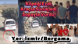 İzmir’de Şok Eden Vahşet: Köpeği Ezdi, Sopayla Vurdu!