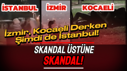 İstanbul’da Şok! Parkta Cinsel İlişkiye Girdiler