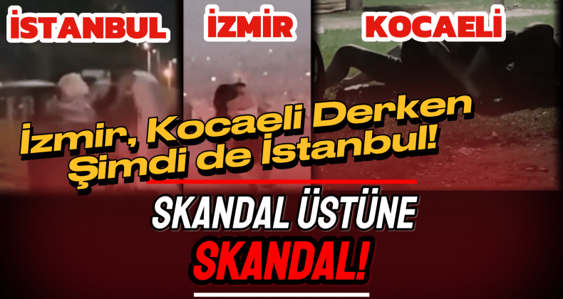 İstanbul’da Şok! Parkta Cinsel İlişkiye Girdiler