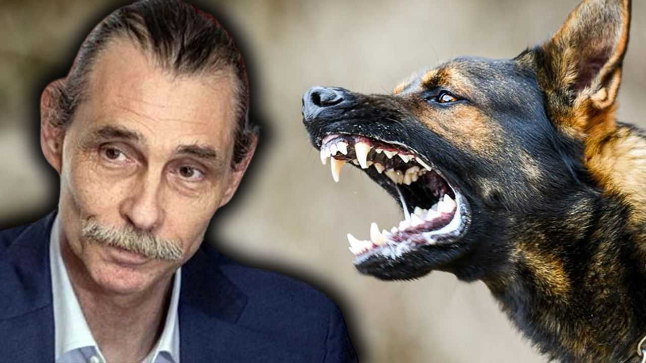 Etimesgut'ta Köpek Skandalı: Başkanın Kararı Tepki Çekti 1 Etimesgutta Kopek Skandali Baskanin Karari Tepki Cekti 1