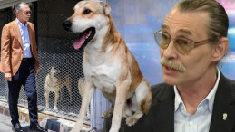Etimesgut’ta Köpek Skandalı: Başkanın Kararı Tepki Çekti