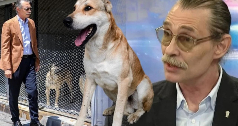 Etimesgut’ta Köpek Skandalı: Başkanın Kararı Tepki Çekti