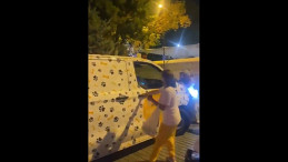 Fatih’te Köpek Krizi: Hayvanseverler mi Engelciler mi?