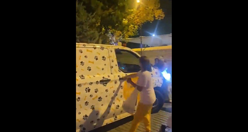 Fatih’te Köpek Krizi: Hayvanseverler mi Engelciler mi?