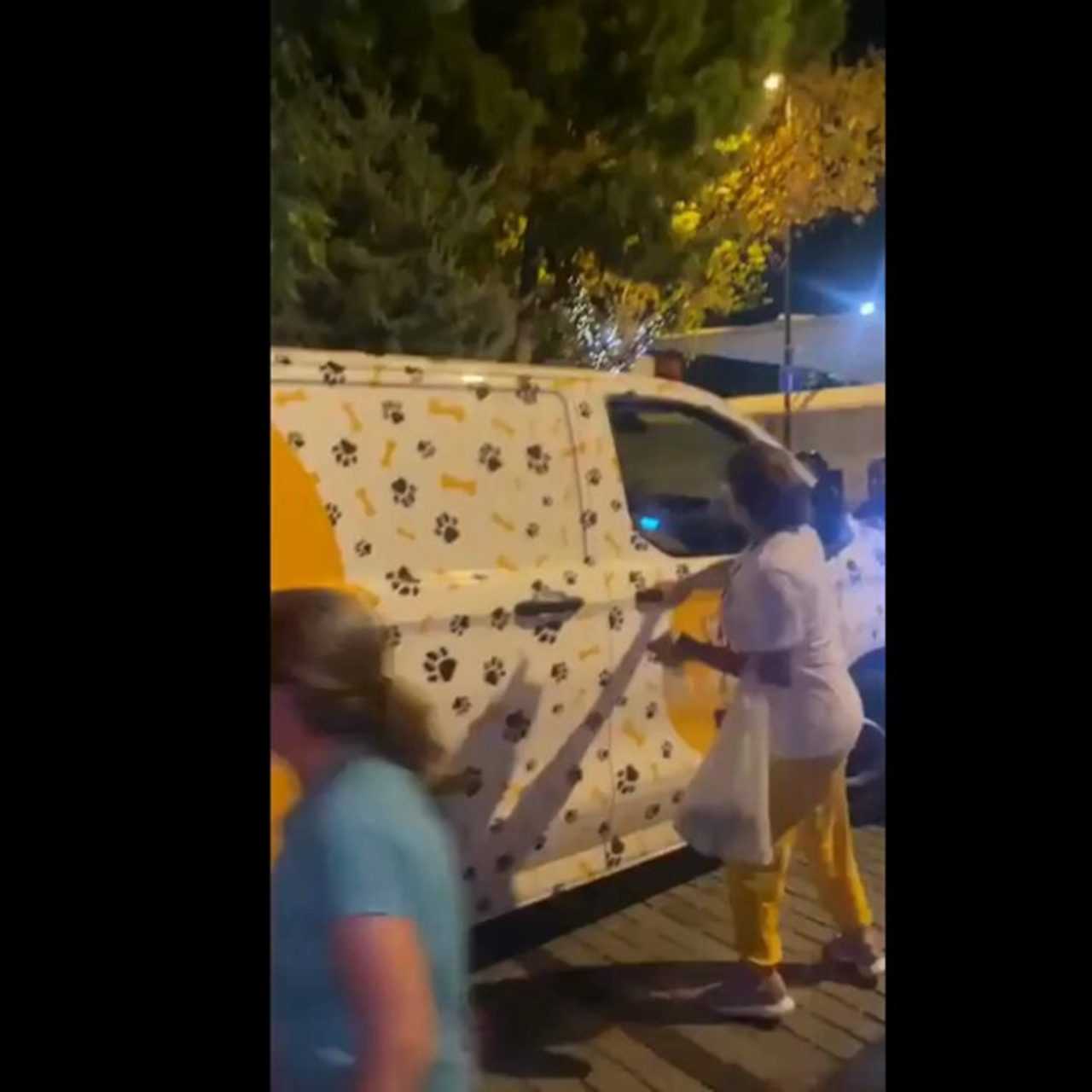 Fatih'te Köpek Krizi: Hayvanseverler mi Engelciler mi? 1 Fatihte Kopek Krizi Hayvanseverler mi Engelciler mi 2