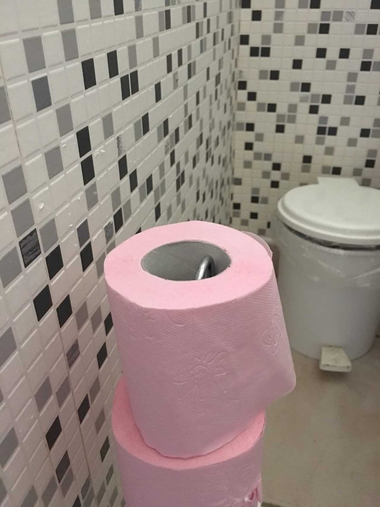Fransa’nın Pembe Tuvalet Kağıtlarının Gizemi 3 Fransanin Pembe Tuvalet Kagitlarinin Gizemi 3