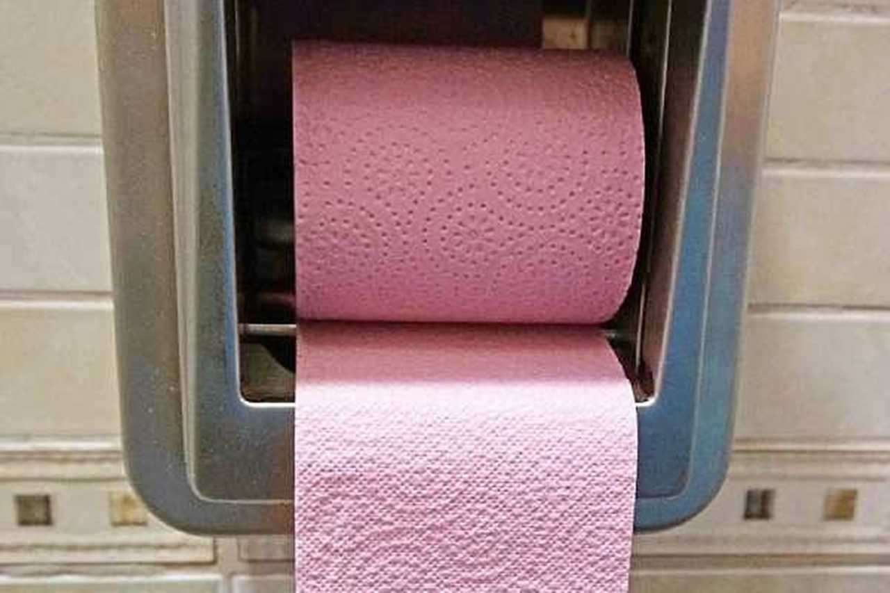 Fransa’nın Pembe Tuvalet Kağıtlarının Gizemi 4 Fransanin Pembe Tuvalet Kagitlarinin Gizemi 4