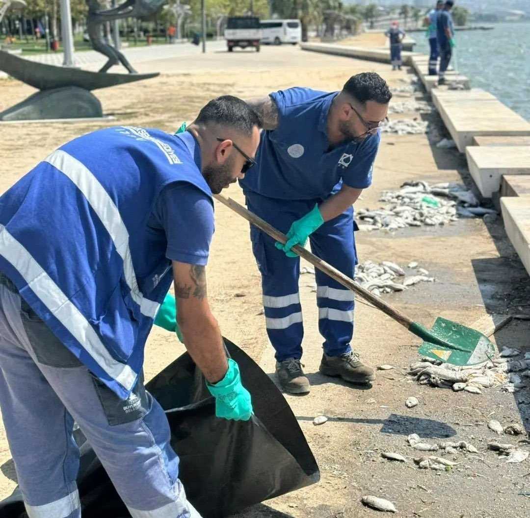 İzmir Körfezi'nde Endişe Veren Gelişmeler! 6 GVu A8uXUAAkLIq 1
