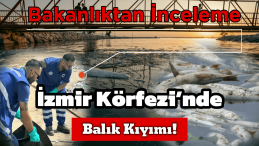 İzmir Körfezi’nde Balık Ölümleri: Bakanlık İnceleme Başlattı