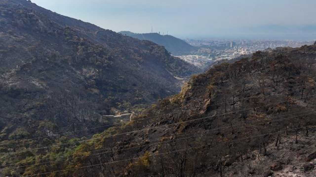 İzmir'deki Orman Yangınının Zararları Havadan Görüntülendi 2 Izmirdeki Orman Yangininin Zararlari Havadan Goruntulendi 3