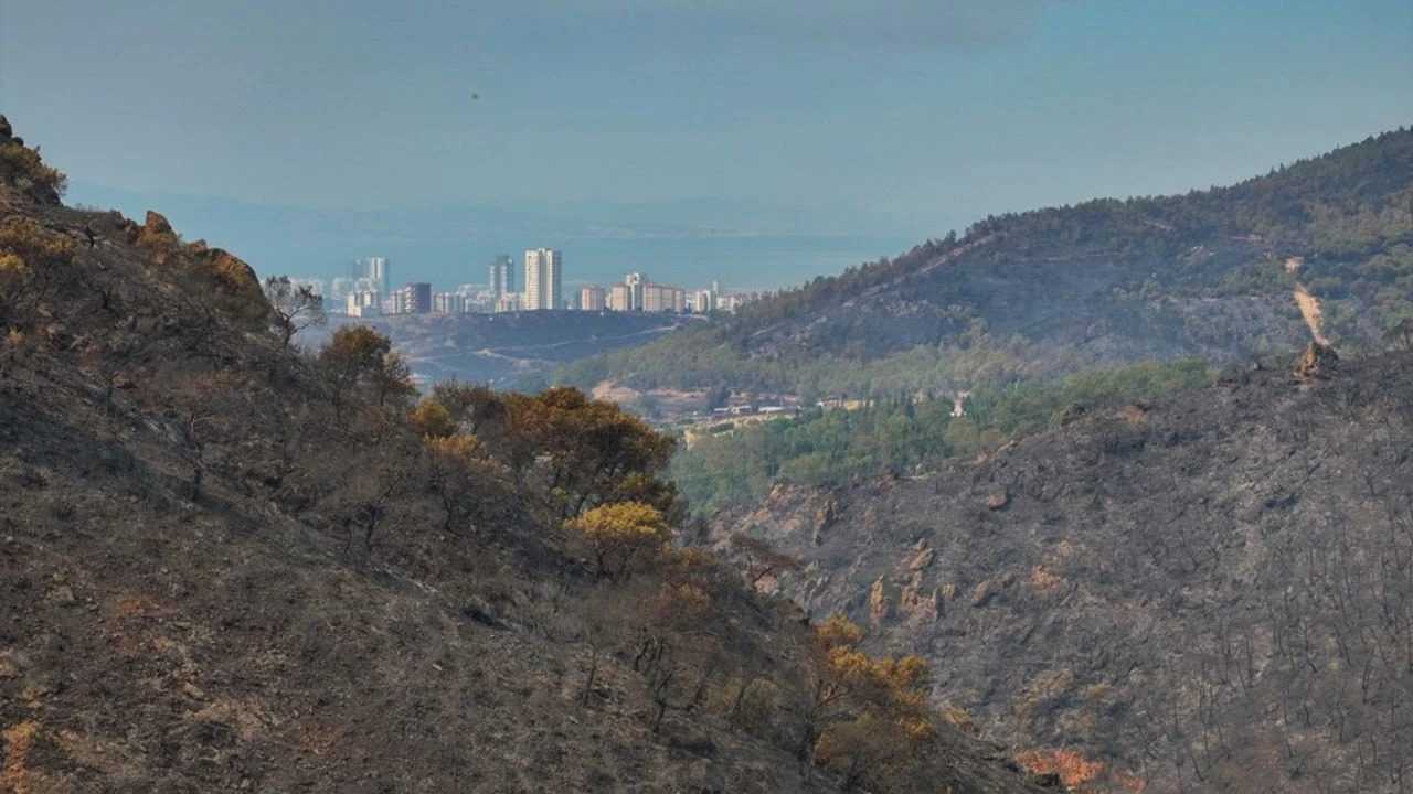 İzmir'deki Orman Yangınının Zararları Havadan Görüntülendi 3 Izmirdeki Orman Yangininin Zararlari Havadan Goruntulendi 4