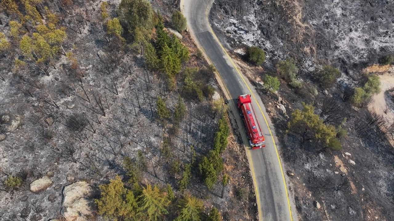 İzmir'deki Orman Yangınının Zararları Havadan Görüntülendi 4 Izmirdeki Orman Yangininin Zararlari Havadan Goruntulendi 5