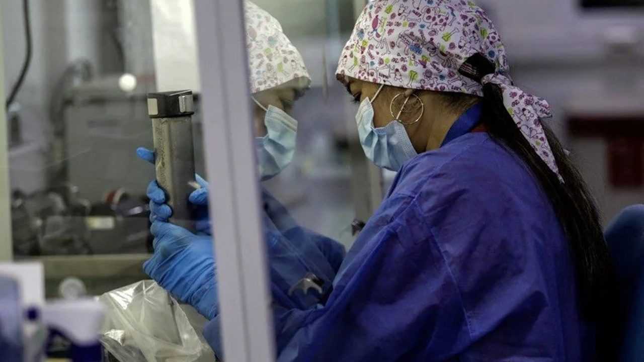 Oropouche Virüsü Güney Amerika ve Avrupa'da Yayılıyor 4 Oropouche Virusu Guney Amerika ve Avrupada Yayiliyor 5