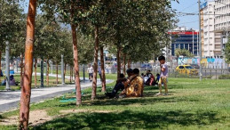 Sıcaklıklar Yükseliyor: Bu Hafta Hava Nasıl Olacak?