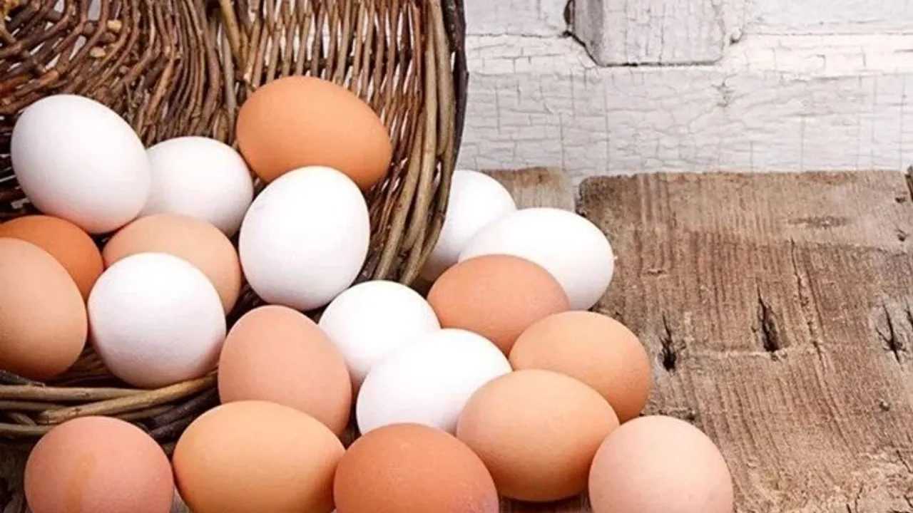 Yumurtada Şok Artış: Arz Krizi Başladı 2 Yumurtada Sok Artis Arz Krizi Basladi 1