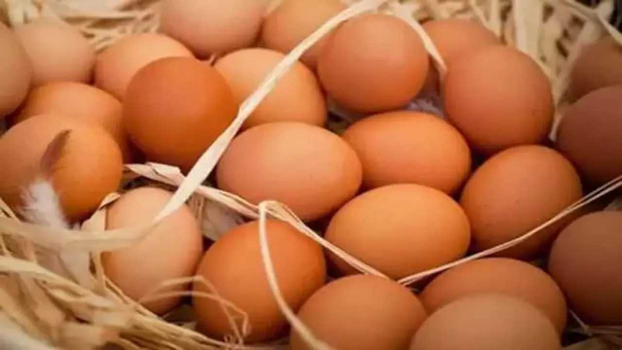 Yumurtada Şok Artış: Arz Krizi Başladı 1 Yumurtada Sok Artis Arz Krizi Basladi 2