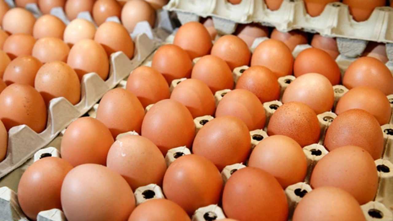 Yumurtada Şok Artış: Arz Krizi Başladı 3 Yumurtada Sok Artis Arz Krizi Basladi 3