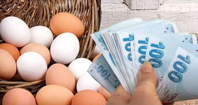 Yumurtada Şok Artış: Arz Krizi Başladı
