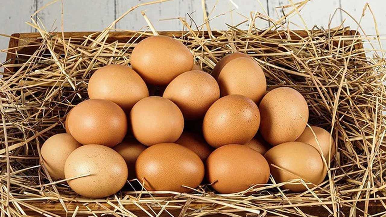 Yumurtada Şok Artış: Arz Krizi Başladı 4 Yumurtada Sok Artis Arz Krizi Basladi 5